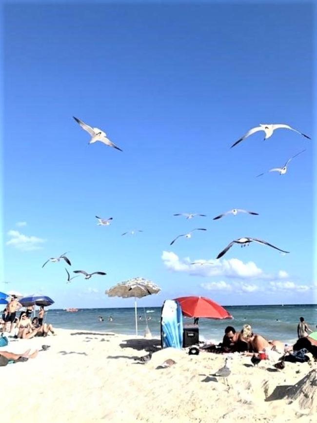Sabbia Playa Downtown *